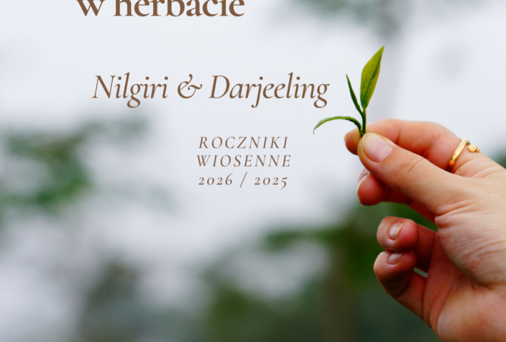 Efemeryczność aromatu w herbacie